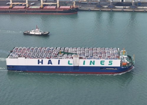 山東陸路國際貨運代理業(yè)務(wù)發(fā)展趨勢與挑戰(zhàn)