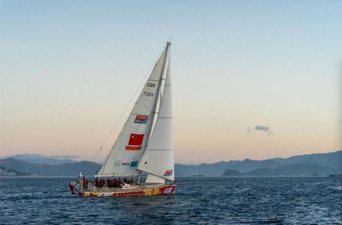 海上茶葉縱貫線 陸路國際貨運代理業務的戰略支點與時代新章